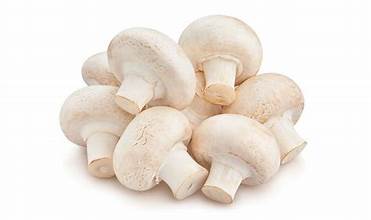 Oman mushrooms 250g